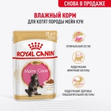 Корм консервированный полнорационный для кошек - Специально для котят породы Мэйн Кун в возрасте до 15 месяцев MAINE COON KITTEN, мелкие кусочки в соусе, пауч 85г