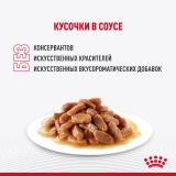 Корм консервированный полнорационный для кошек - Специально для котят породы Мэйн Кун в возрасте до 15 месяцев MAINE COON KITTEN, мелкие кусочки в соусе, пауч 85г