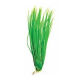 Растение пластиковое Акорус зеленый 30см