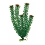 Растение пластиковое Амбулия зеленое 30см