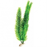 Растение пластиковое Роголистник зеленый 30см
