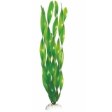 Растение пластиковое Валиснерия широколистная 30см