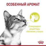 Royal Canin Sensory smell корм консервированный полнорационный для взрослых кошек (в возрасте от 1 года до 7 лет), стимулирующий обонятельные рецепторы, кусочки в соусе, 85г