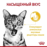 Royal Canin Sensory taste корм консервированный полнорационный для взрослых кошек (в возрасте от 1 года до 7 лет), стимулирующий вкусовые рецепторы, кусочки в соусе, 85г