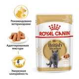 Royal Canin British Shorthair Adult Корм консервированный для взрослых британских короткошерстных кошек,соус 85г