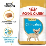 Royal Canin Chihuahua Puppy Корм сухой для щенков породы Чихуахуа до 8 месяцев 500г
