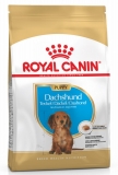 Royal Canin Dachshund Puppy Корм для щенков породы Такса до 10 месяцев, сухой, 1,5 кг