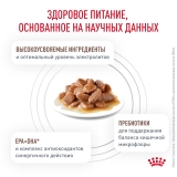 Royal Canin GASTROINTESTINAL Корм влажный для взрослых кошек при расстройствах пищеварения в соусе, пауч 85г