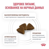 Royal Canin GASTROINTESTINAL KITTEN  Корм сухой для котят от 2 до 10 месяцев при нарушениях пищеварения 2кг