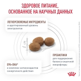 Royal Canin GASTROINTESTINAL LOW FAT SMALL DOGS  Корм сухой для взрослых собак мелких пород при нарушениях пищеварения 1кг