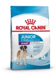 Royal Canin Giant Junior Корм сухой для щенков очень крупных пород в возрасте от 8 до 18/24 месяцев 3,5кг