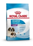 Royal Canin Giant Starter Корм сухой для щенков очень крупных размеров до 2 месяцев, беременных и кормящих сук 4кг