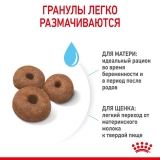 Royal Canin Giant Starter Корм сухой для щенков очень крупных размеров до 2 месяцев, беременных и кормящих сук 15кг