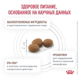 Royal Canin HEPATIC Корм сухой для кошек для поддержания функции печени 2кг