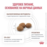 Royal Canin HEPATIC Корм сухой для взрослых собак для поддержания функции печени 1,5кг