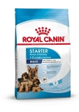 Royal Canin Maxi Starter Корм сухой для щенков крупных размеров до 2-х месяцев, беременных и кормящих сук 4кг