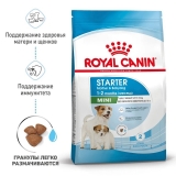 Royal Canin Mini Starter Корм сухой для щенков мелких размеров до 2-х месяцев, беременных и кормящих сук 1кг