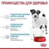 Royal Canin Mini Starter Корм сухой для щенков мелких размеров до 2-х месяцев, беременных и кормящих сук 1кг