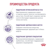 Royal Canin NEUTERED ADULT MEDIUM DOGS  Корм сухой для взрослых стерилизованных/кастрированных собак 3,5кг