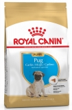 Royal Canin Pug Puppy 1,5 кг