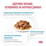 Royal Canin SENSITIVITY CONTROL CHICKEN WITH RICE  Корм влажный для взрослых кошек при пищевой аллергии, пауч 85г