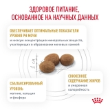 Royal Canin URINARY S/O MODERATE CALORIE  Корм сухой для взрослых кошек, склонных к набору веса, при мочекаменной болезни 400г