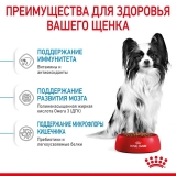 Royal Canin X-Small Puppy Корм сухой для щенков очень мелких размеров до 10 месяцев 500г