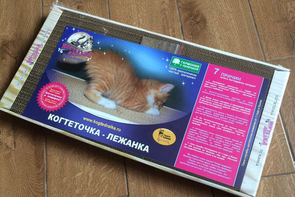 Когтедралка картонная для кошек купить в Ярославле