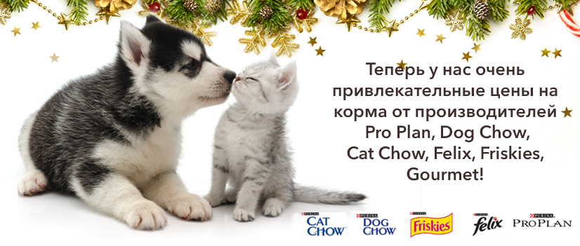 Сухой корм для собак и кошек по акции