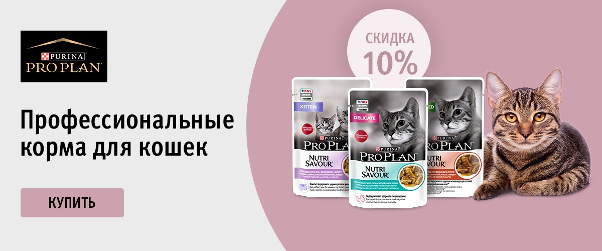 proplan cats 052022
